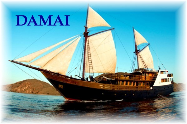 Damai boat