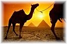 Egypt1 Egypt1