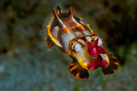 uw_19[1]